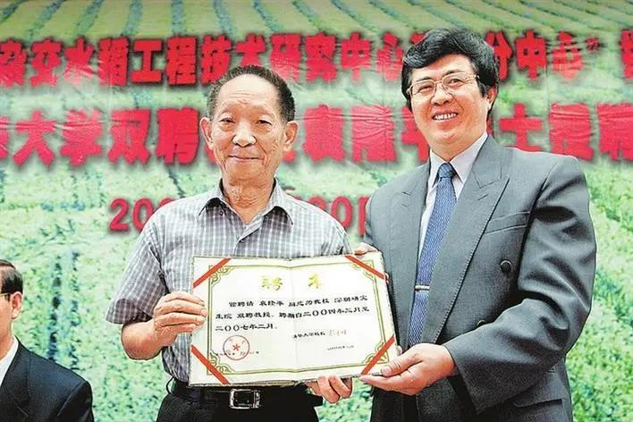 袁隆平院士深圳创新团队回忆袁老他不在试验田就在去试验田的路上