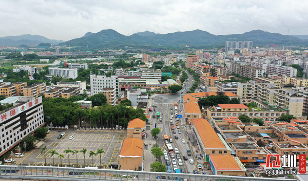 十三次清拆行动势如破竹!光明大街市政工程征拆任务基本完成