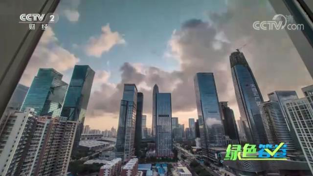 央视特别节目《绿色答卷》点赞深圳：“这是一座可以深呼吸的城市”