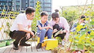 都市学生体验“汗滴禾下土” 空中花园一派果木菜蔬香
