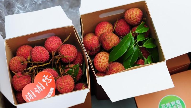 广州市10万斤荔枝送给逆行的白衣天使