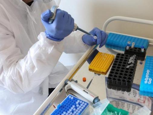 香港新增1例输入新冠肺炎确诊病例