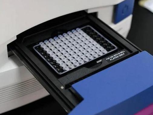 香港新增3例输入新冠肺炎确诊病例