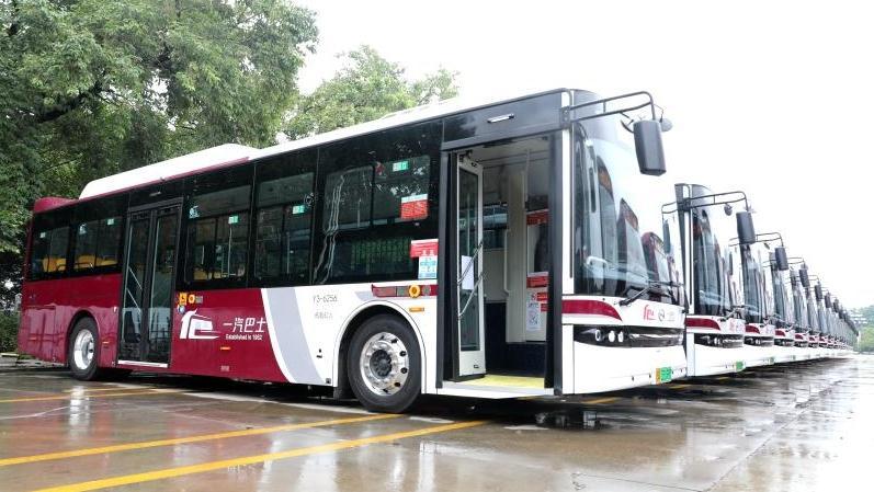 车身“可升降”、落车还有提示灯，这批新公交车“有看头”