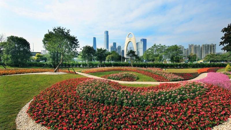 白天花香满城，入夜华灯绽放！初夏广州美如画