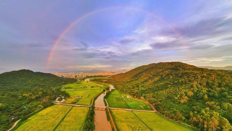 炎炎夏日，绚烂彩虹横跨田野