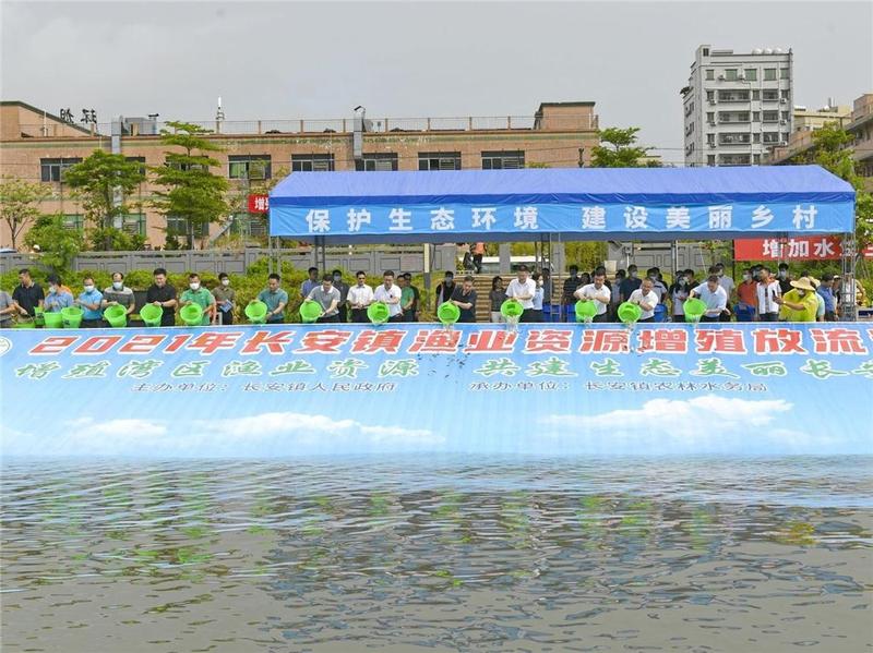 东莞市长安镇举行“休渔放生节”，9万尾鱼苗在茅洲河安家