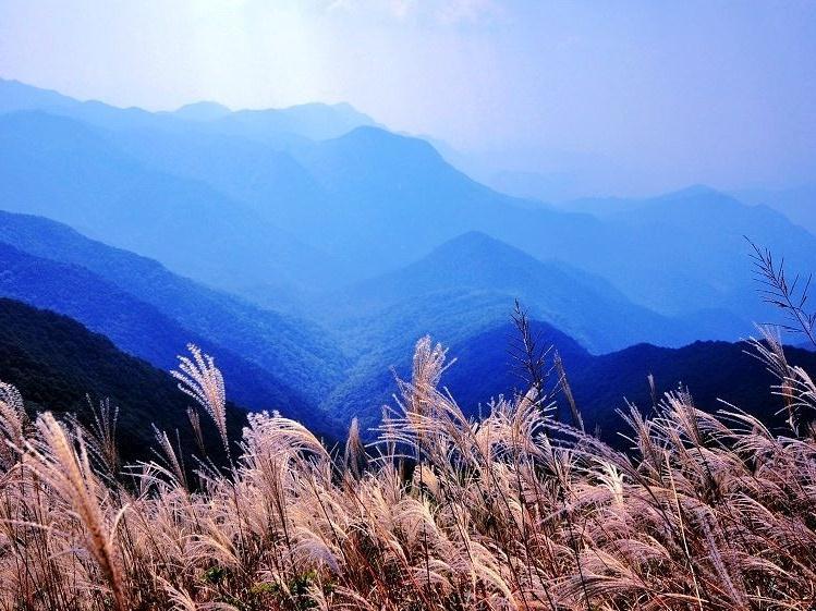 广州上半年空气质量状况公布 这三个区空气最佳