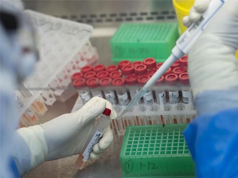 7月10日起，持7天内核酸检测阴性报告可往返粤澳