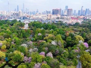 广州：与世界共享城市可持续发展经验