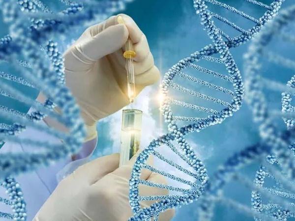 全球第二亚洲第一！生科企扎堆香港上市，半年逾50家