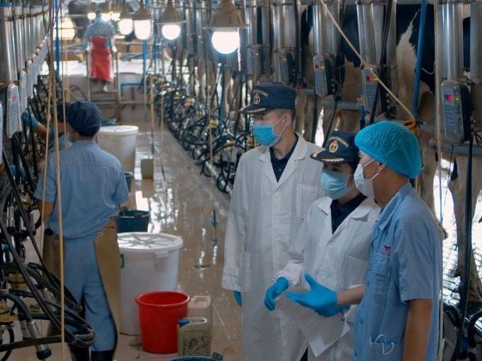 上半年广州海关监管供港澳食品增长逾3成