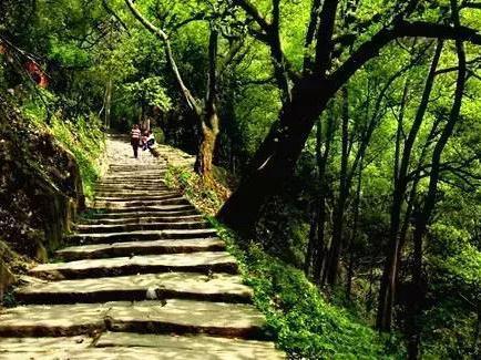 广东省首条国家级登山健身步道广州黄埔亮相