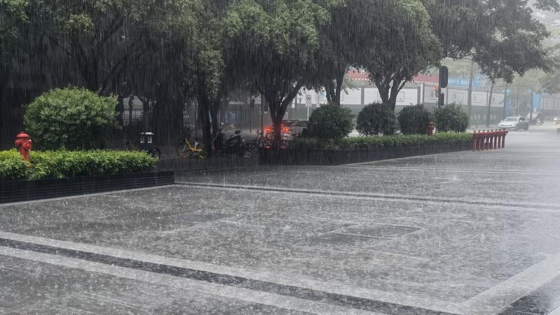 慢直播回顾：深圳市解除暴雨黄色预警和雷电预警