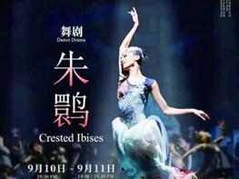 2021第一届佛山城市艺术季将于8月至9月举行