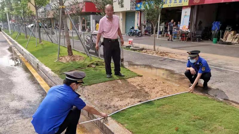 绿地上开出“人行道” 执法队开出首张罚单