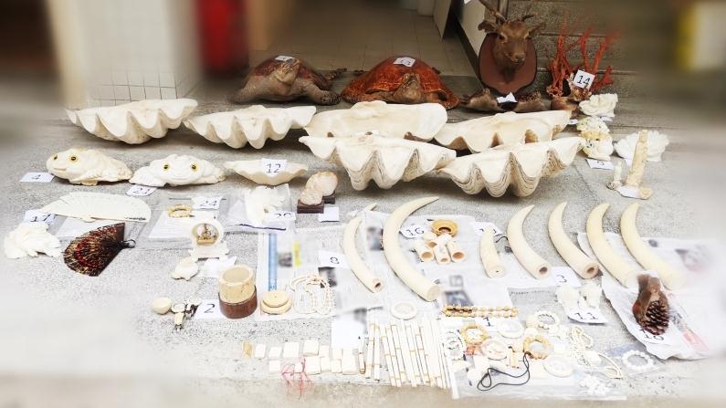 男子家中的“藏品”陈列室，民警一查震惊了……