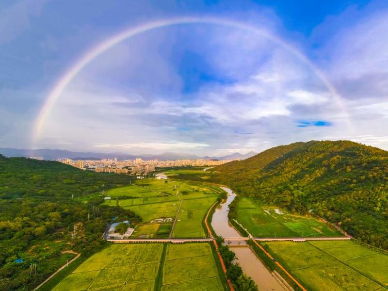 广州“镜”是这么媚 | 多彩田园