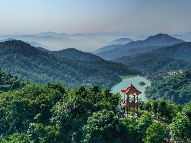 广州市新增一家森林公园，正果镇白江湖森林公园开园