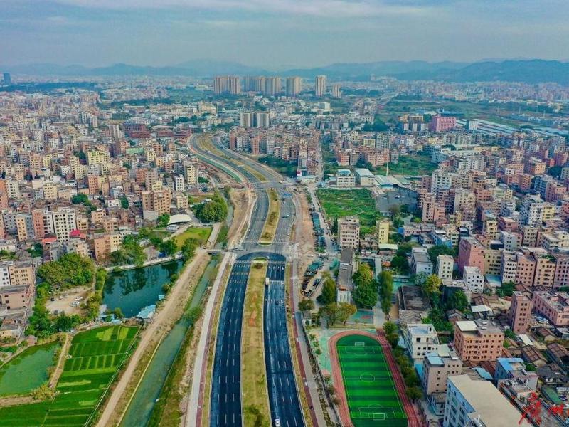 老旧国道蝶变十里绿廊