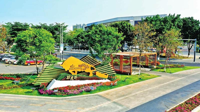 新桥环卫八条落地，构建城市卫生立体管理新模式