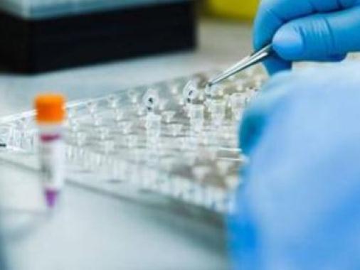 澳门一家4口核酸均呈阳性，女儿曾去西安参加活动