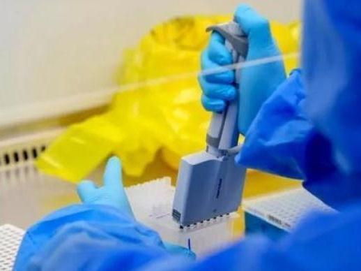 香港新增4宗输入新冠肺炎确诊个案