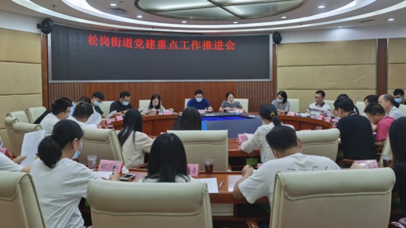 盘活社区资源 松岗首创“一社区一特色”党建品牌