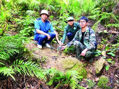 惠州市林业工程师林翔飞：与林为伴，毕生巡山护林