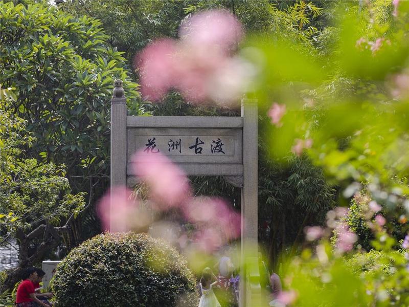 立秋不见秋，35℃高温即将重现广州