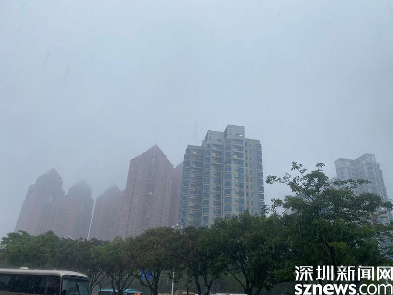 刚刚，龙华南山及宝安区现暴雨  未来一周深圳天气不稳定