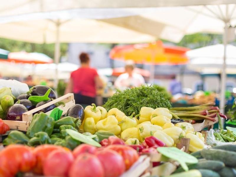 首届‘广州市反餐饮浪费宣传周’举行