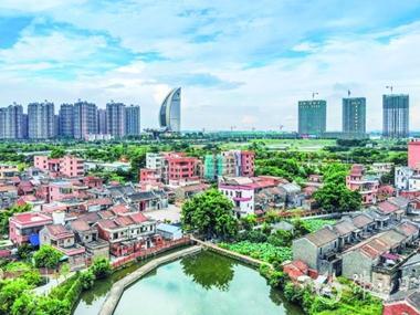 佛山：以新担当新作为贯彻落实省委部署和市委安排