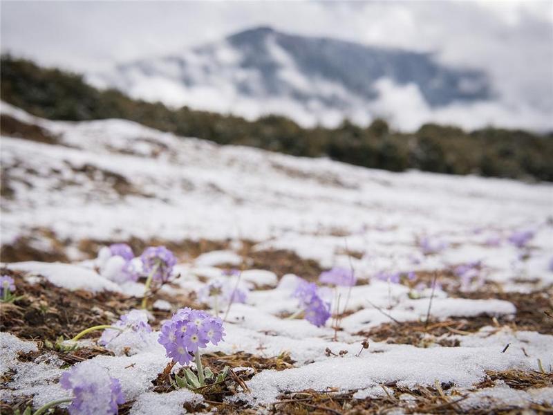 我为群众办实事 | “感谢佛山援藏工作组，这个急救健康包太实用了!”