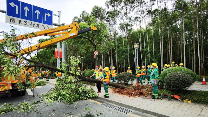 宝安区城管和综合执法局开展园林绿化管理应急演练