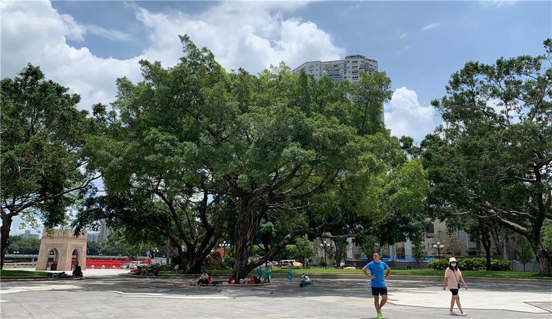 重磅出台！广州拟推行“1+3”科学绿化实施意见