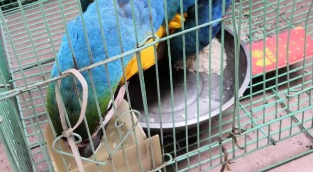 西乡网格员巧遇“天外飞客” 谁知竟是“国保”