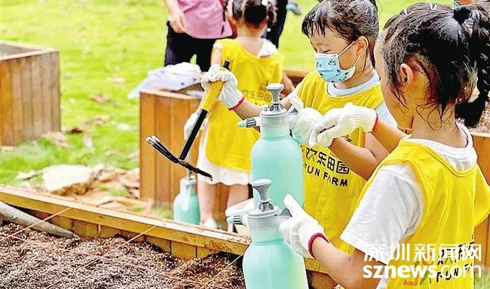 到农田里“打滚” 感悟粮食来之不易