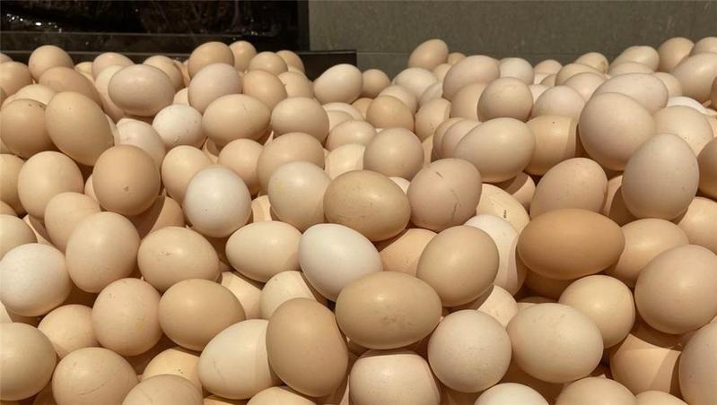 广州市发改委：受季节和中秋节等影响，广州蛋价小幅上升
