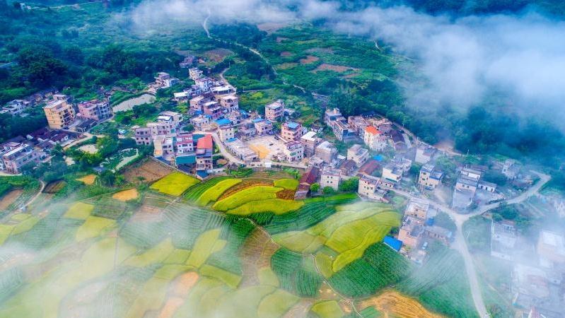 第一！广州获通报表扬！广东推进乡村振兴年度成绩榜单公布