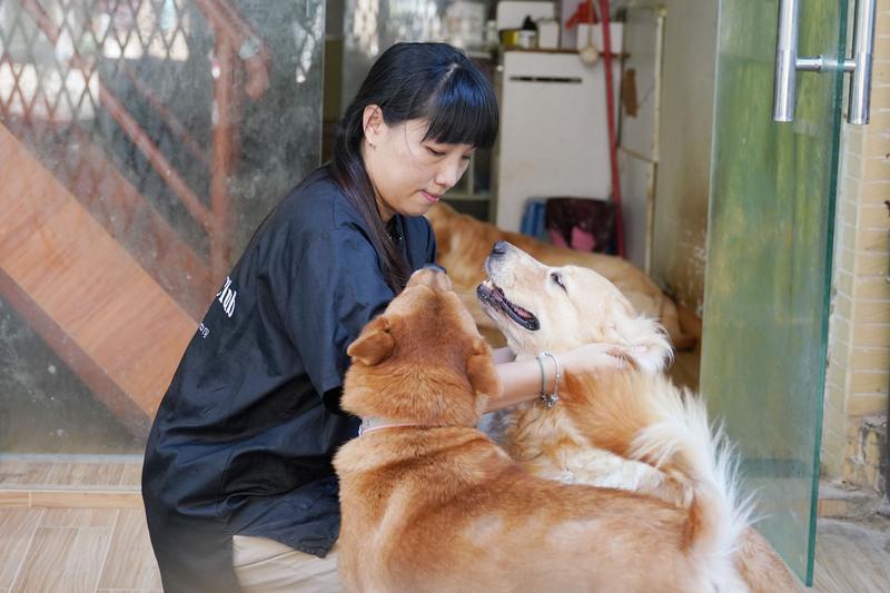 她自费救助超20只流浪猫狗！以领养代替购买，让生命不再流浪