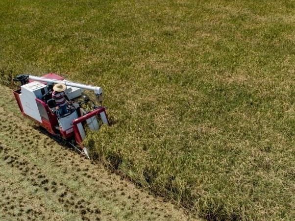 广州财政发放实际种粮农民一次性补贴超482万元