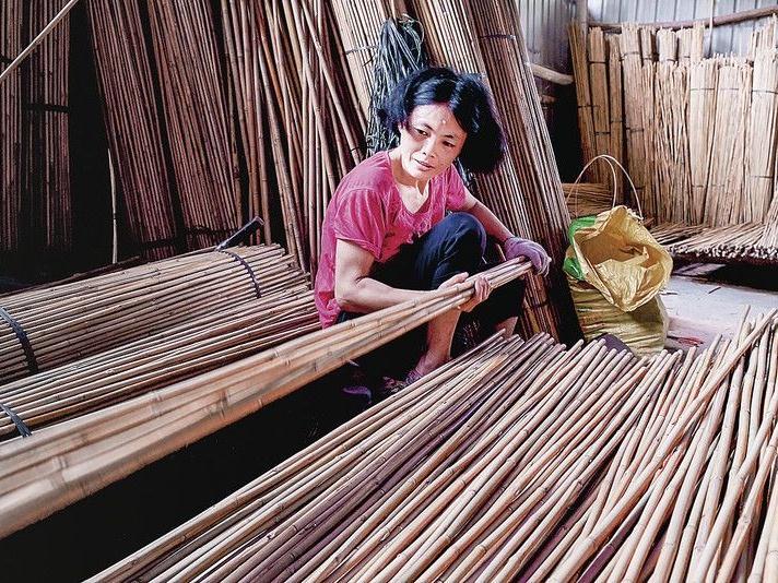 肇庆如何为竹产业发展注入新活力？