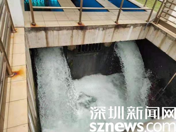 深圳市生态环境局组织开展涉海陆域污染源交叉执法行动