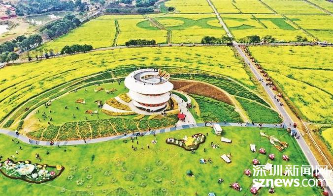 2020年度广东省乡村振兴考核结果出炉 光明区取得珠三角片区第三名好成绩