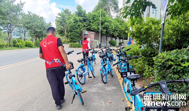 立行立改！凤凰街道开展“文明啄木鸟”专项整治行动