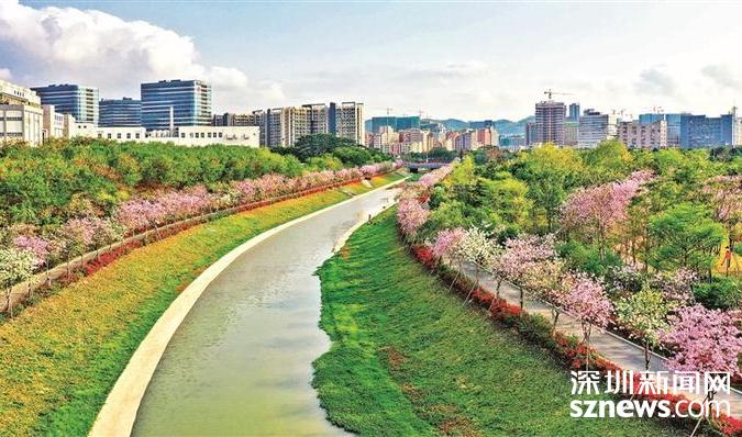 鹅颈水湿地公园四季有花可赏