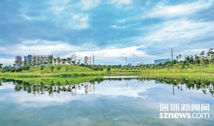 光明街道扎实做好环保巡查整治工作 严格落实河长制 绷紧文明施工弦