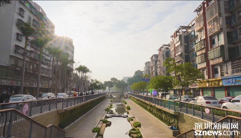 暗渠复明换新颜 光明区水务局打造家门口的曲水流觞