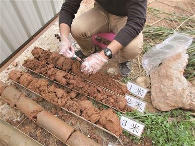 广州全力提速污染地块再利用